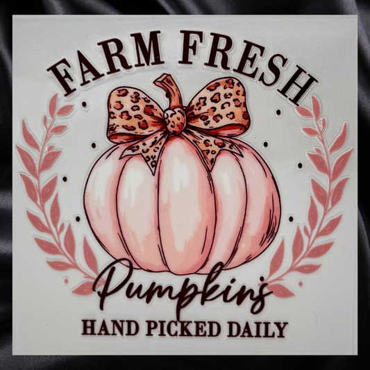 Farm Fresh Pumpkins
